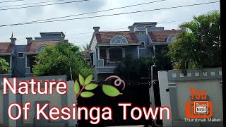 Nature of Kesinga Town // #kesinga