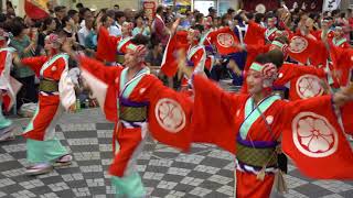 濱長花神楽（よさこい2018 全国大会・帯屋町筋）