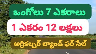 ఒంగోలు 7 ఎకరాలు అగ్రికల్చర్ ల్యాండ్ ఫర్ సేల్ please subscribe 🙏 8897702061