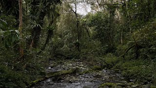 宜蘭福山植物園