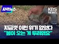 [자막뉴스] 지금껏 이런 위기 없었다...봄이 오는 게 두려운 농민들 / KBS  2023.03.10.