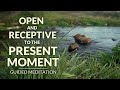 OPEN AND RECEPTIVE TO THE PRESENT MOMENT - Guided Mindfulness Meditation Practice