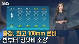 [날씨] 충청, 최고 100mm 큰비…밤부터 장맛비 소강 / SBS