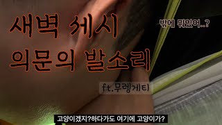 [백패킹 vlog]백린이의 무의도세렝게티 멘붕모험기[무렝게티 지름길|백린이|호룡곡산|쓰레기섬|무렝게티백패킹|무렝게티 가는 법| 무의도 백패킹|니모아톰 2p|인천 백패킹]