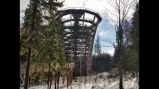 KRKONOŠE TREE TOP WALK, KRKONOŠE, 2020