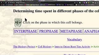 Mitosis WebQuest Help