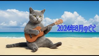 2024年8月のビビ #ロシアンブルー#子猫