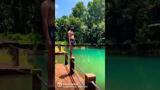 ഇനി തവളച്ചാട്ടം കണ്ടില്ലാന്ന് പറയരുത് | Diving | swimming | Pool | ujir kulam #shorts