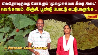 மழை, குளிருக்கு ஏற்ற சூடான அடை தோசை| Rani Online