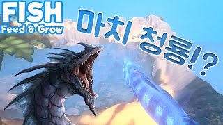 하늘을 나는 청룡 물고기 등장!? 개사깈ㅋㅋㅋㅋㅋㅋㅋ '피드 앤 그로우 피쉬' (Feed And Grow Fish)[중력유튜브]