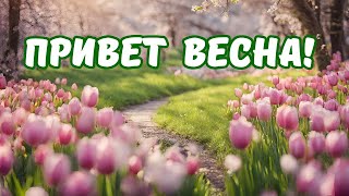 Доброе утро🌞 Доброе весеннее утро💐 Привет весна 🌼 С первым днём весны. С 1 марта  #весна