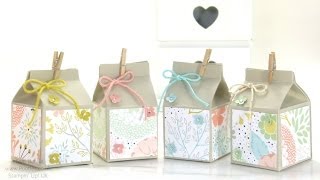 Mini Hand Cut Milk Cartons Tutorial