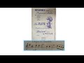 Melodious & Progressive Studies | Book 1 | Tempo di Gavotte