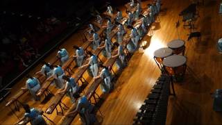 Xinmin Sec School Guzheng Ensemble 新民中学古筝团 19/05/2017 ~山丹丹开花红艳艳