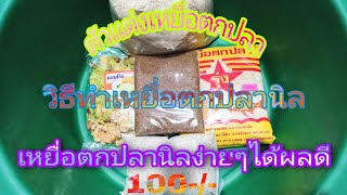 สูตรเหยื่อตกปลานิลและตัวแต่งเหยื่อตกปลาง่ายๆได้ผลดี100-/-