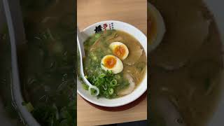 【岐阜県岐阜市】らーめん横綱　#豚骨醤油#味玉ラーメン#shorts