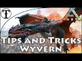 Fast Wyvern Taming Guide :: Ark : Survival Evolved Tips and Ticks