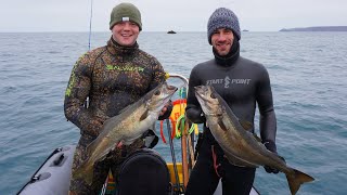 Spearfishing 2022 - A COLD Day's Fishing in January with Spearfin!!!