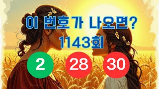 (2번 28번 30번)이 나오면? 동반수 로또 1143회