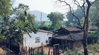 हमारे गांव की सुन्दरता || Natural beauty of our village #prakashvillagetour #prakashvlog #travel #yt