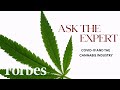 How The Cannabis Industry Is Booming As An Essential Business | Forbes