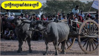 ប្រវត្តិ​ការប្រណាំងរទេះ​ក្របី|CAMBODIA STORY KHMER HISTORY|Bunnarithy Media