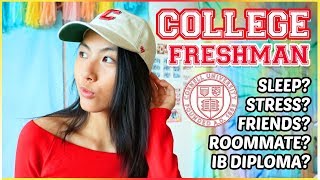 you'll REGRET not applying to this college... | Katie Tracy (Cornell Freshman Year Q&A)