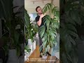 I like your plants!! #houseplants #indoorplant