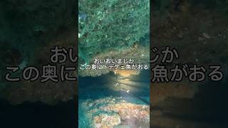 超高級魚を一突きで2匹捕獲する！まさに最強の一撃