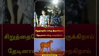 சிறுத்தையே எங்கு இருக்கிறாய் தேடினால் எங்கு மறைகிறாய் | #cheetah | #missing | #nellai | #shorts