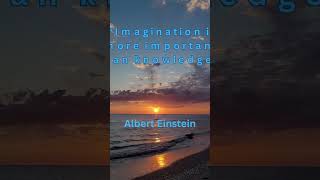 Albert Einstein's Quotes  #motivational #quotes