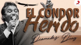El Cóndor Herido, Diomedes Díaz Y Juancho Rois - Letra Oficial