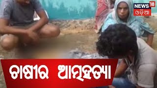 ଋଣ ଭାର ସହିନପାରି ,ଜୀବନ ହାରିଲେ ଚାଷୀ | AAMARI ODISHA