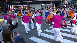 粕屋町どんたく隊