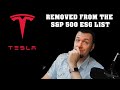 TELSA REMOVED FROM THE S&P 500 ESG LIST