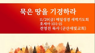 [매일성경 새벽기도회 241129(금)] 묵은 땅을 기경하라 _ 호세아10:1-15