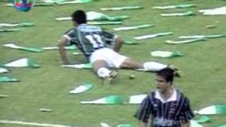 Palmeiras 1-1 Corinthians, Palmeiras Campeão Brasileiro de 1994