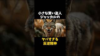 このイヌ科生物…只者じゃない#shorts