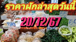 ราคาผักล่าสุดวันนี้ 20/12/67 [ย้อนหลัง 2วัน]