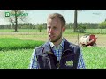 saaten union efficiently into the future with hybrid rye land u0026 forst i expert discussion