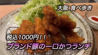 【大阪/肥後橋】税込１０００円！ブランド豚の一口かつランチ