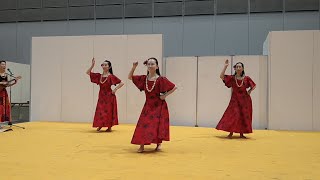 2025・1月18日・宮城県仙台市・癒しのフラダンス・フラダンス「LUANA huIa studio」・宮城・仙台新築リフォームフェア2025・夢メッセみやぎ