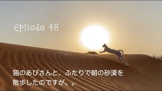 猫のあびと、こっそりふたりで砂漠を散歩。 Having a date with a cat, Abi, in the desert.