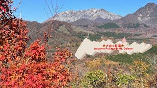 「絶景！鬼女台・鍵掛峠展望台から見る大山と紅葉」20241110