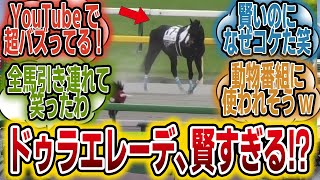 「ダービー落馬のドゥラエレーデ、ゴール後の行動が凄すぎる！YouTubeで大バズり！」に対するみんなの反応【競馬の反応集】