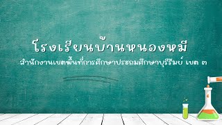 โครงการบ้านวิทยาศาสตร์น้อย ประถม โรงเรียนบ้านหนองหมี