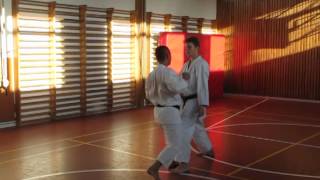 Kai-sensei demonstrating jodan gyaku-zuki