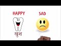 opposite words for kids with pictures learn opposites in hindi english विपरीत शब्द