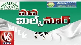 Mulukanoor Womens Cooperative milk dairy - V6 Spot Light