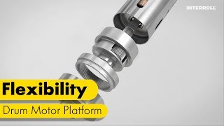 Interroll Drum Motor platform: Flexibility